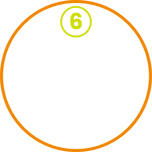 TRANSPORTE